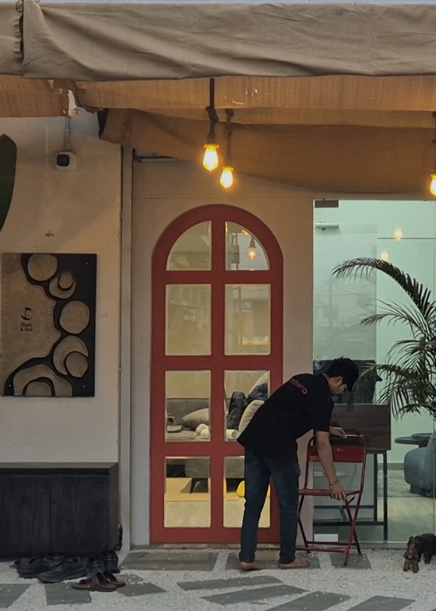 Timbero_Entry_images-2 (1)